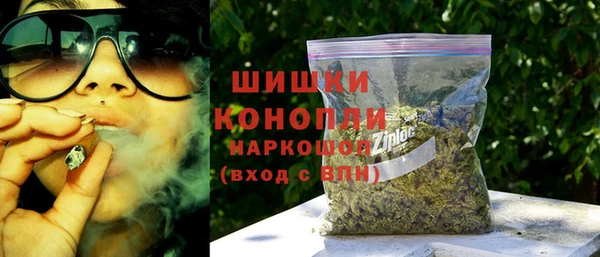 дмт Осташков