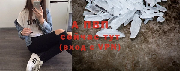 дмт Осташков