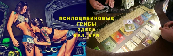 дмт Осташков