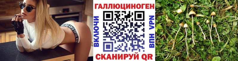 кракен tor  Луховицы  Псилоцибиновые грибы ЛСД 