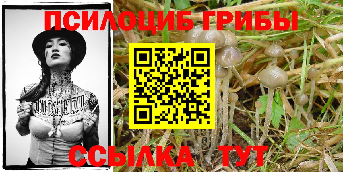 Галлюциногенные грибы мицелий Луховицы