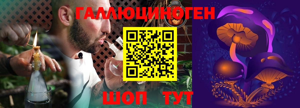 Луховицы  цены   Галлюциногенные грибы GOLDEN TEACHER  Вход с VPN  Галлюциногенные грибы Psilocybine cubensis 